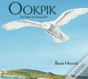 Capa do artigo Ookpik