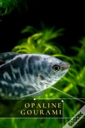 Capa do artigo Opaline Gourami