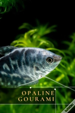 Capa do artigo Opaline Gourami