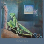 Capa do artigo Opaqueage - Vinil