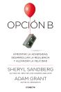 Opción B - Preview