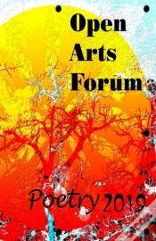 Capa do artigo Open Arts Forum Poetry 2019