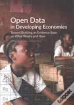 Open Data In Developing Economies