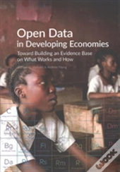 Open Data In Developing Economies