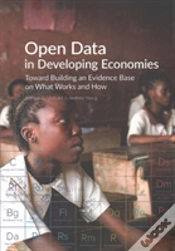Capa do artigo Open Data In Developing Economies