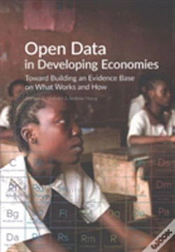 Capa do artigo Open Data In Developing Economies