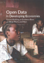 Open Data In Developing Economies - Preview