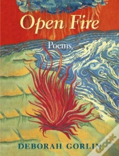 Capa do artigo Open Fire