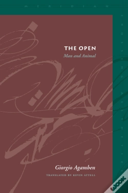 Capa do artigo Open
