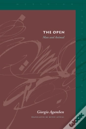 Capa do artigo Open