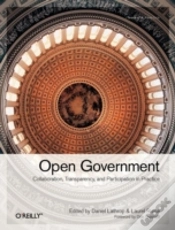 Capa do artigo Open Government