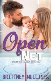 Capa do artigo Open Net