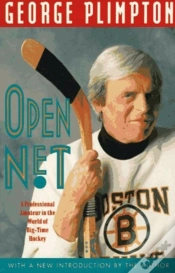 Capa do artigo Open Net
