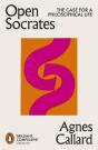 Open Socrates - Preview