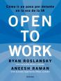 Open To Work - Preview