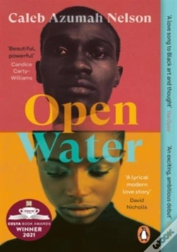 Capa do artigo Open Water