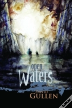 Capa do artigo Open Waters