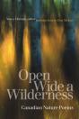 Open Wide A Wilderness - Preview