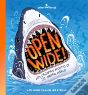 Capa do artigo Open Wide!