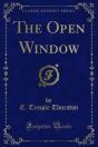 Open Window - Preview