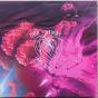 Open Your Heart Or Die Trying - Vinil - Preview