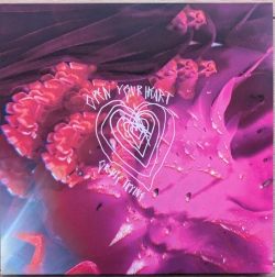 Capa do artigo Open Your Heart Or Die Trying - Vinil