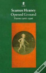 Capa do artigo Opened Ground