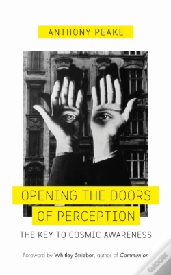 Capa do artigo Opening The Doors Of Perception