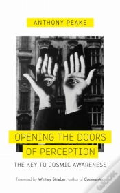 Capa do artigo Opening The Doors Of Perception