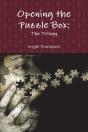 Opening The Puzzle Box - Preview