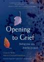 Opening To Grief - Preview
