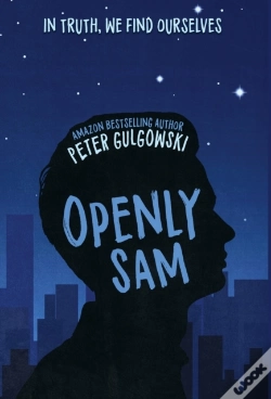 Capa do artigo Openly Sam