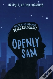 Capa do artigo Openly Sam