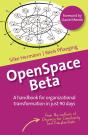 Openspace Beta - Preview