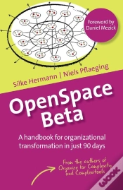 Capa do artigo Openspace Beta