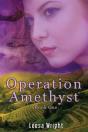 Operation Amethyst - Preview