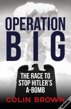 Capa do artigo Operation Big