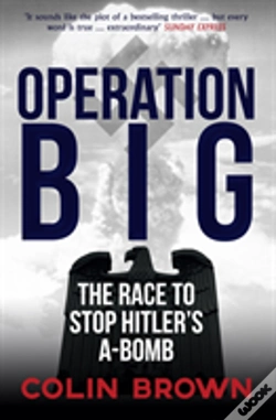 Capa do artigo Operation Big