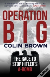 Capa do artigo Operation Big