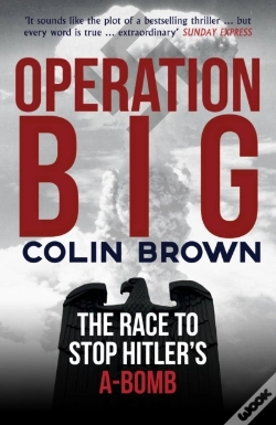 Capa do artigo Operation Big