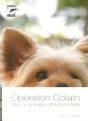 Operation Goliath - Preview