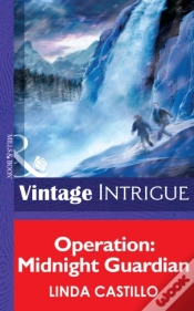 Capa do artigo Operation: Midnight Guardian