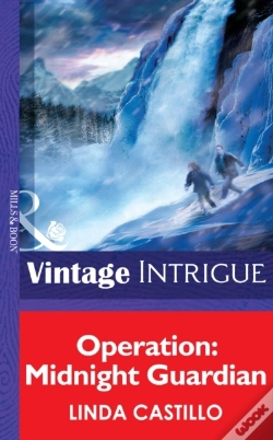 Capa do artigo Operation: Midnight Guardian