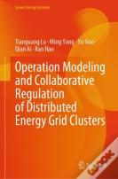Operation Modeling And Collaborative Regulation Of Distributed Energy Grid Clusters