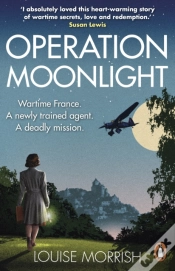 Capa do artigo Operation Moonlight
