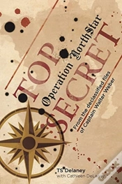 Capa do artigo Operation Northstar