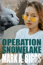 Operation Snowflake