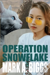 Capa do artigo Operation Snowflake