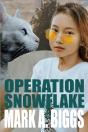 Operation Snowflake - Preview