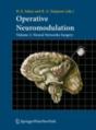 Operative Neuromodulation - Preview